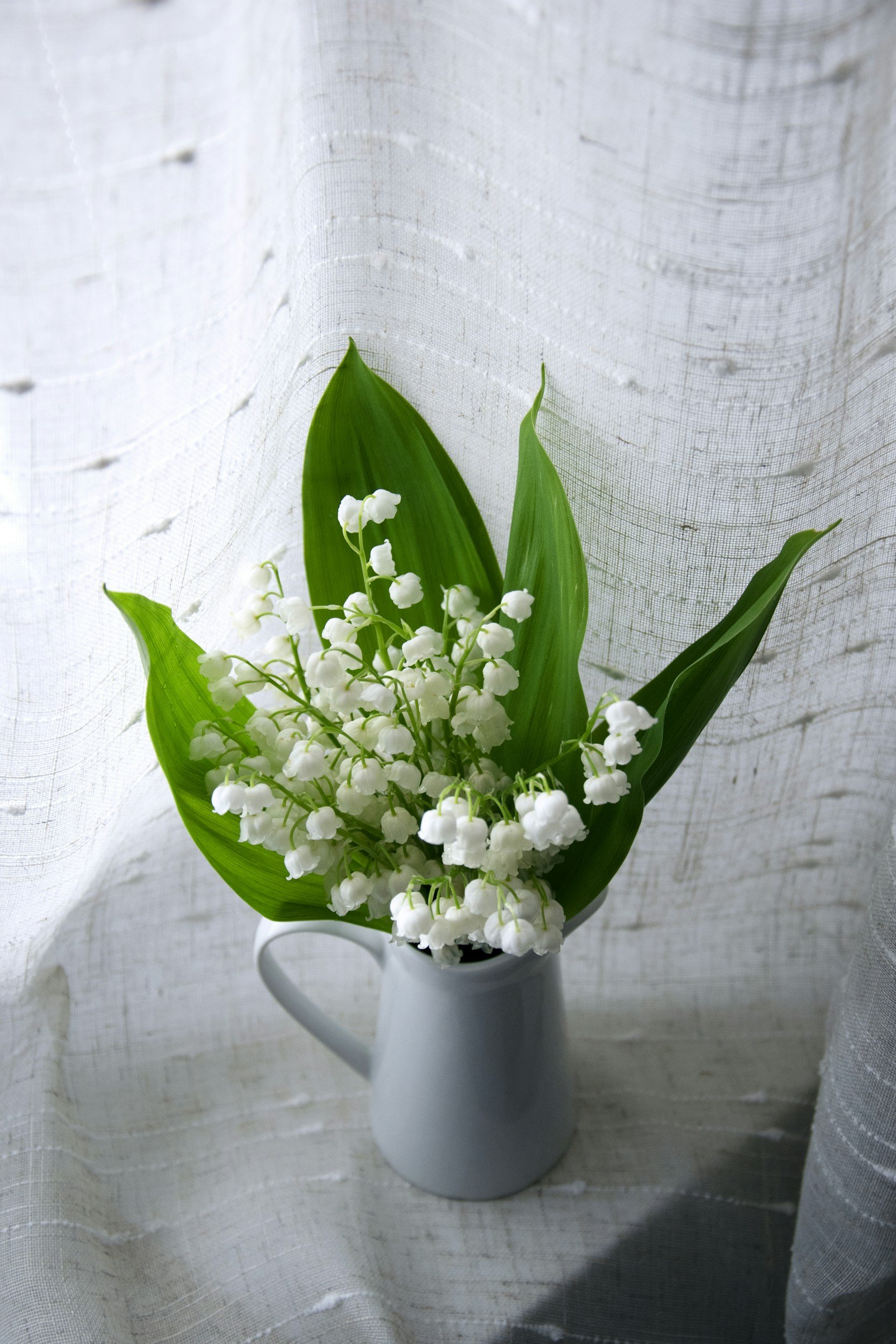 A white pitcher filled with lily of the valley flowers and green leaves, set against a white textured fabric background.