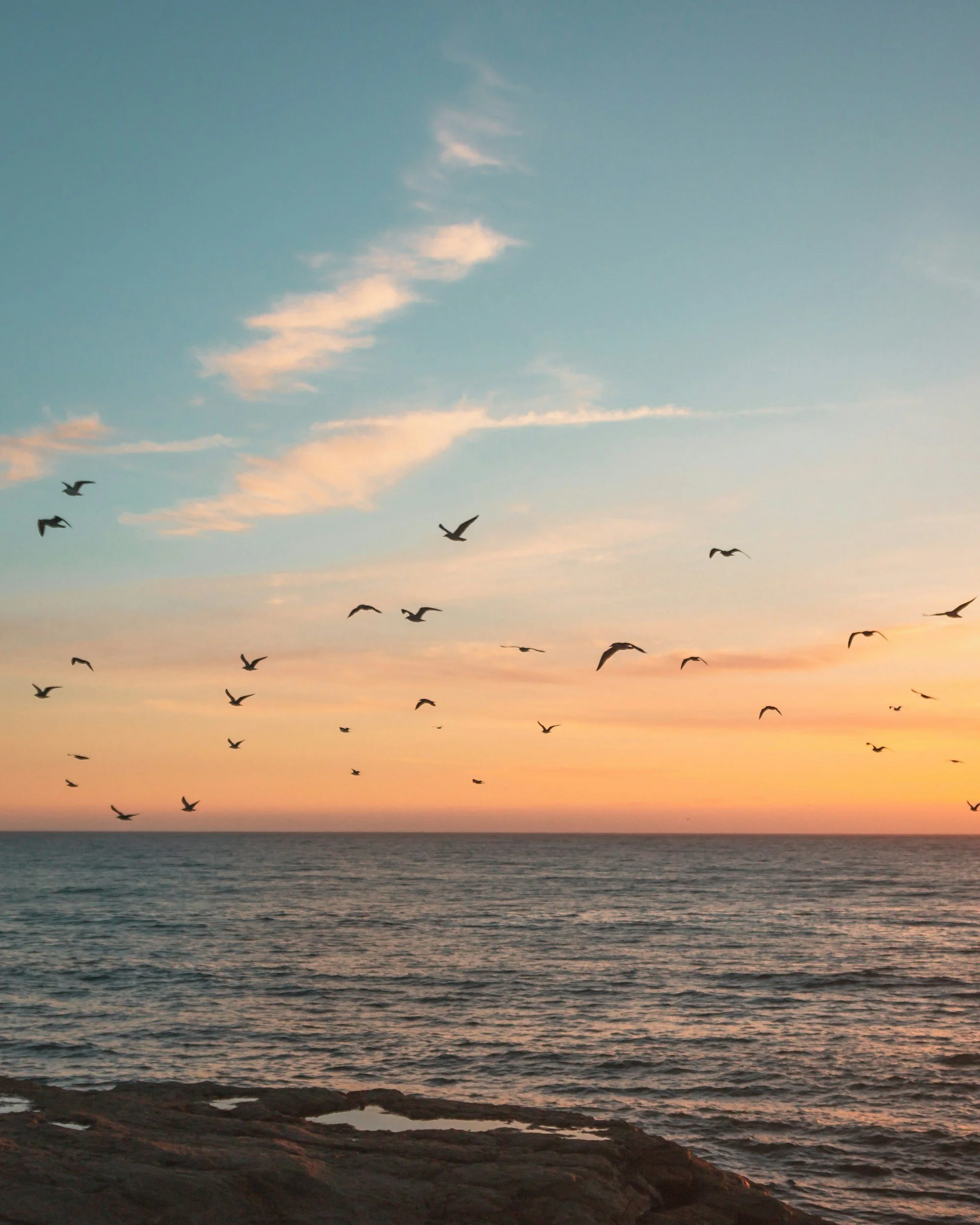 A sunset over the ocean with a partly cloudy sky and birds flying above the water near a rocky shoreline.