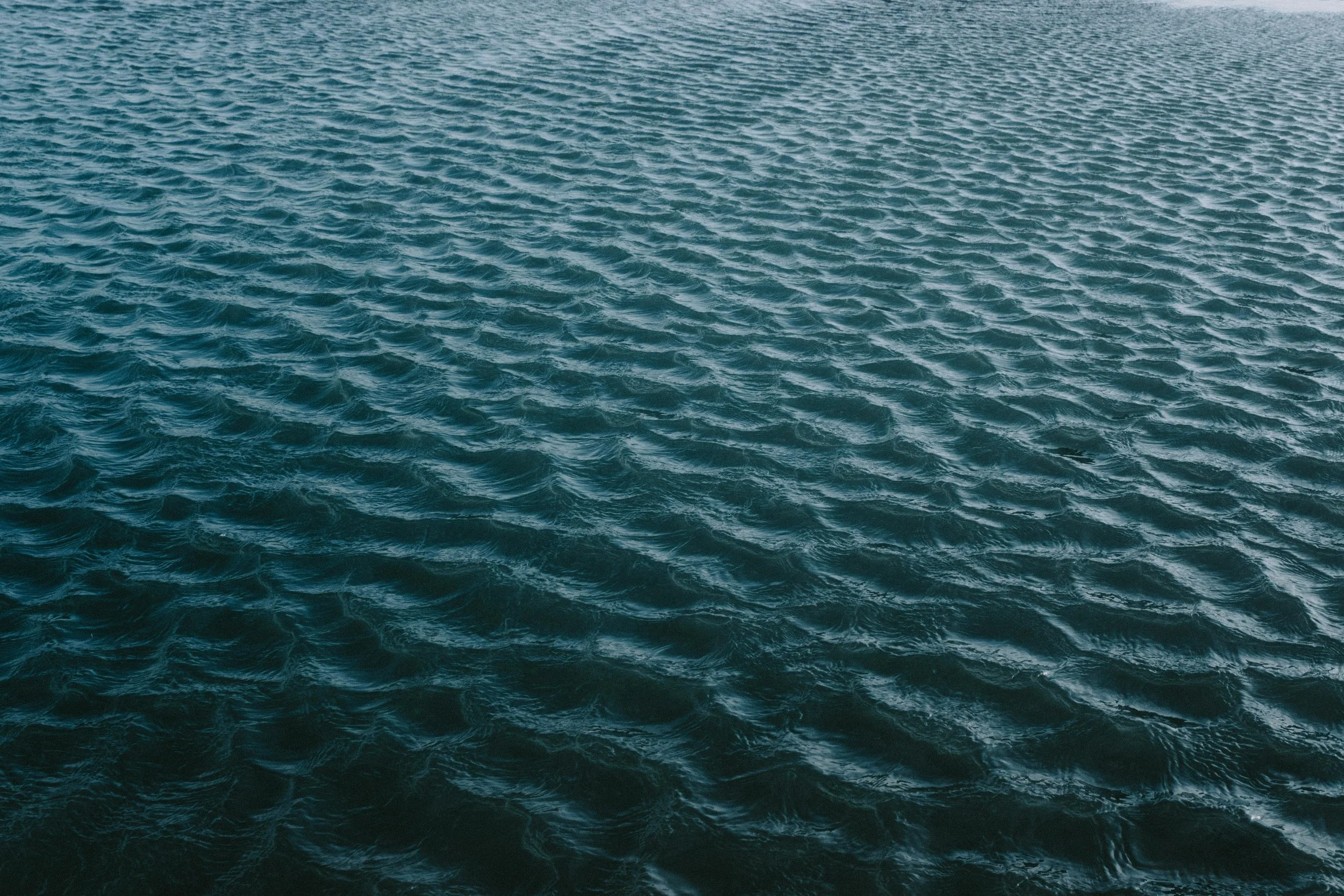 pexels-matreding-11421711.jpg