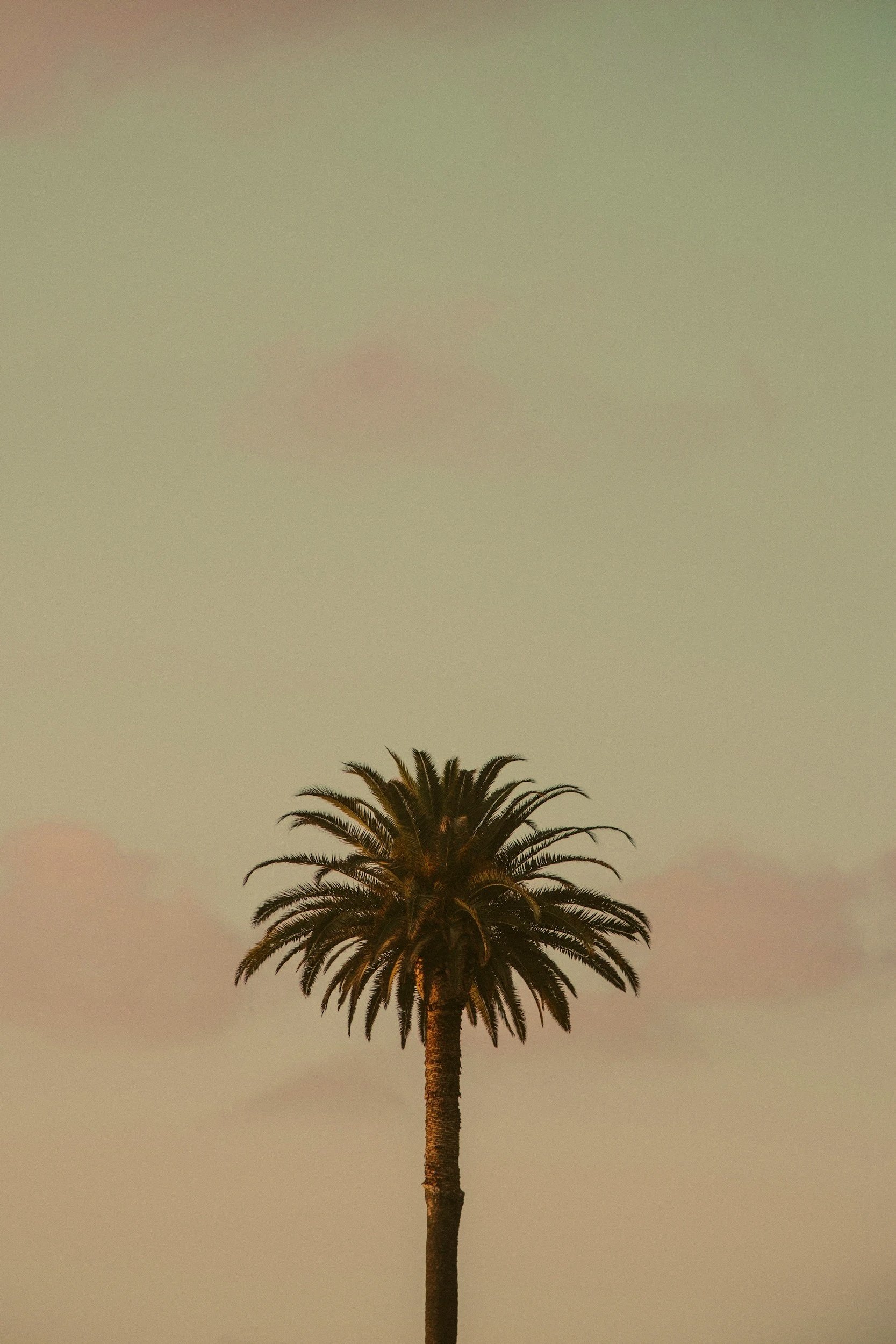 Michelle Kelly, LMFT offers online and in-person talk therapy services in California for women, couples and families navigating identity shifts, anxiety, burnout, and quiet self-doubt.