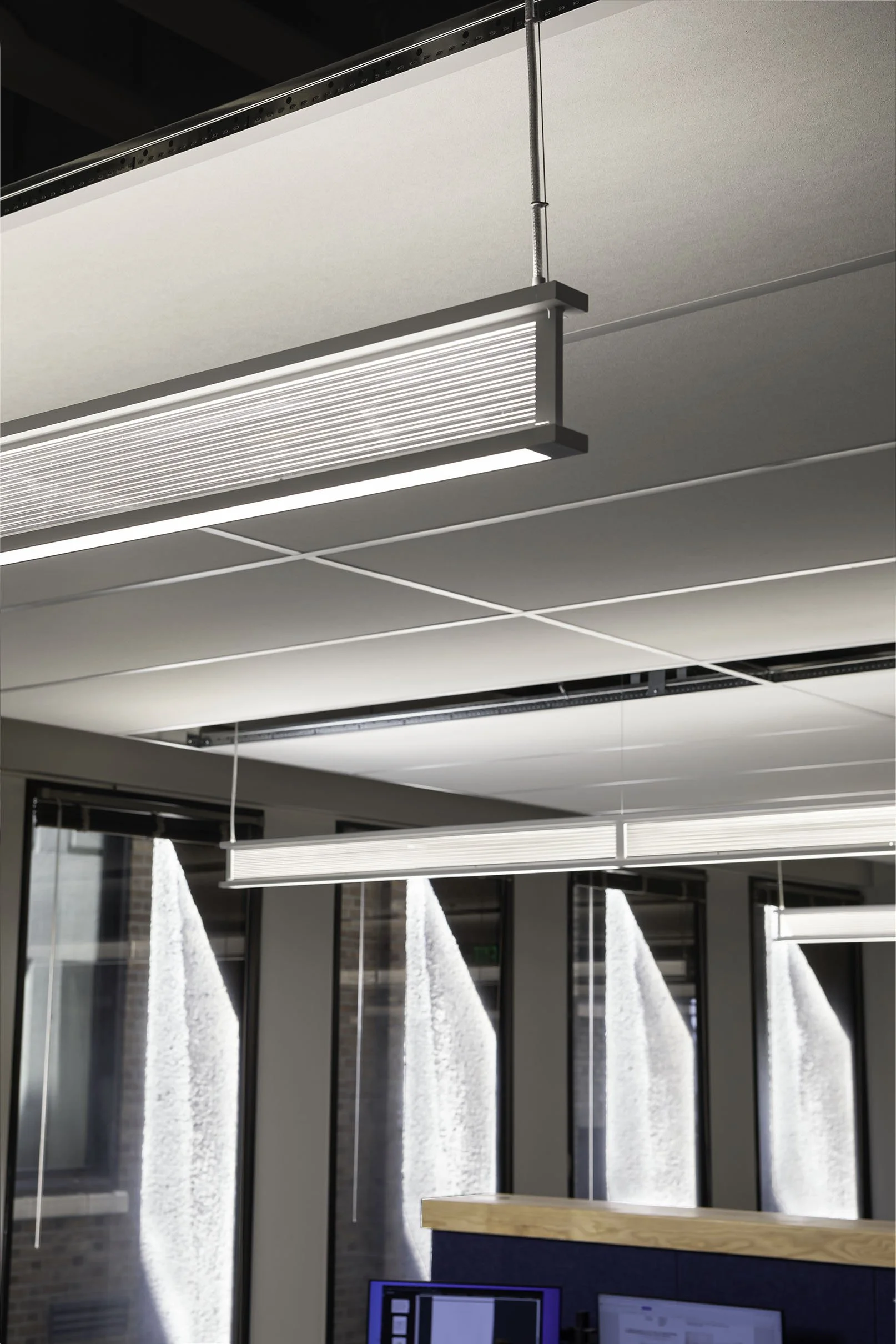 LO - Light Detail.jpg