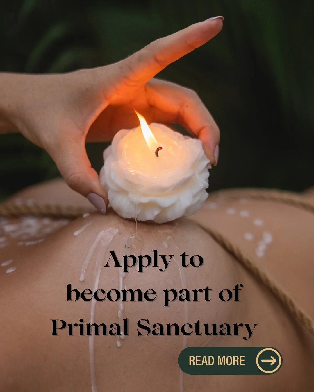 5.5 weeks until we unlock the next level of pleasure at Primal Sanctuary ✨

Ready to turn the heat up?! 🔥 

Complete your application with intention, check your inbox (and don&rsquo;t forget that spam folder), and book your private call to see if th