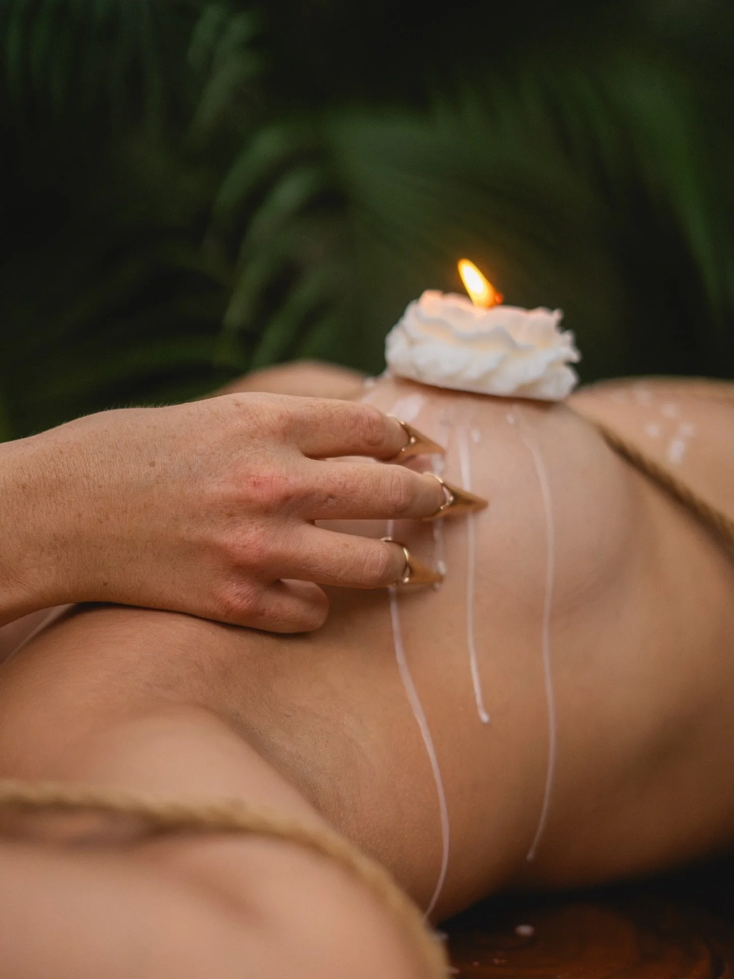 Due to some personal matters, the Forbidden Jungle experience will be postponed for now. But the passion of Primal Sanctuary remains alive &mdash; applications and interviews are still open. You&rsquo;ll receive exclusive first access as soon as the 