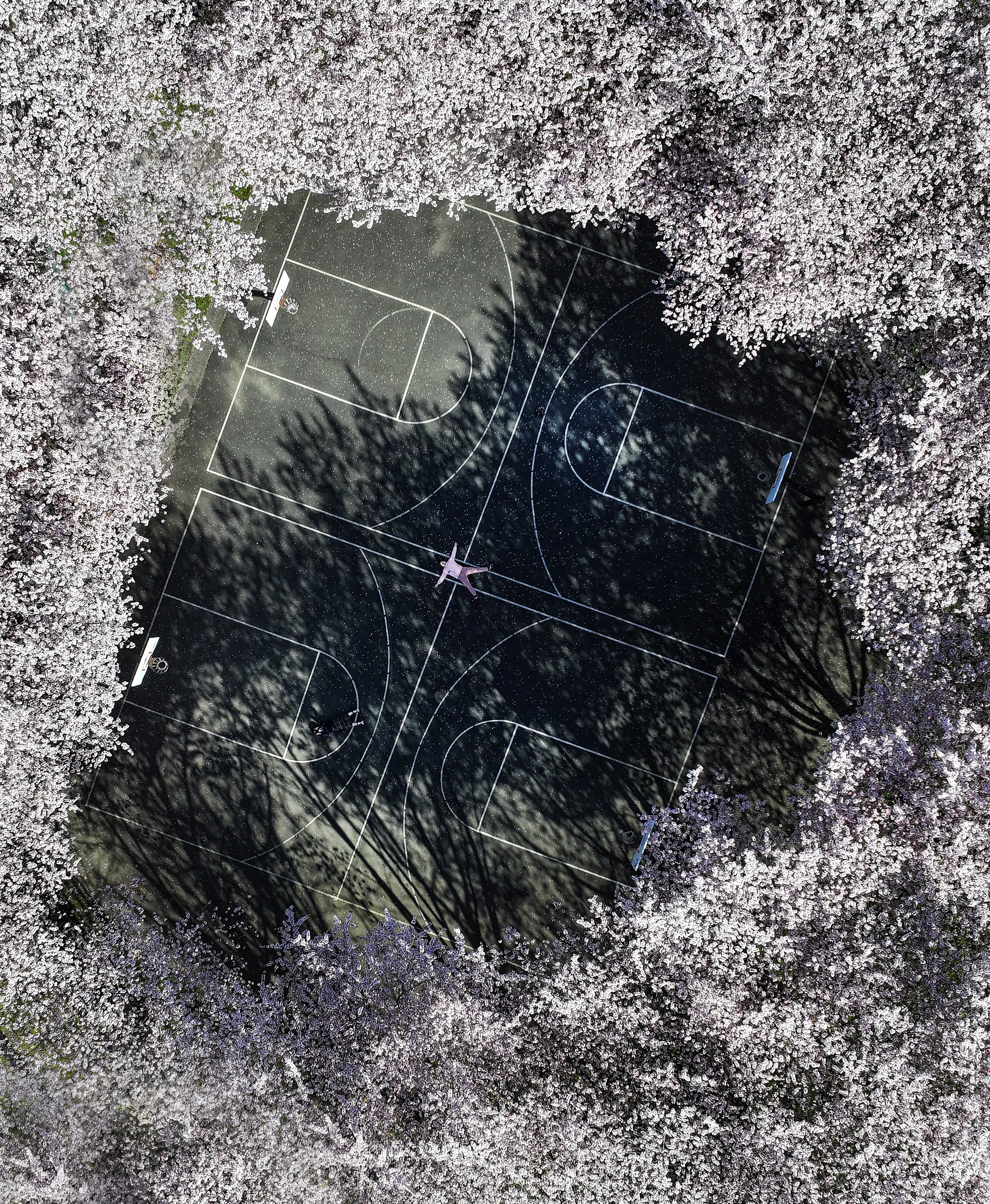 Basketball Court Tacoma, WA