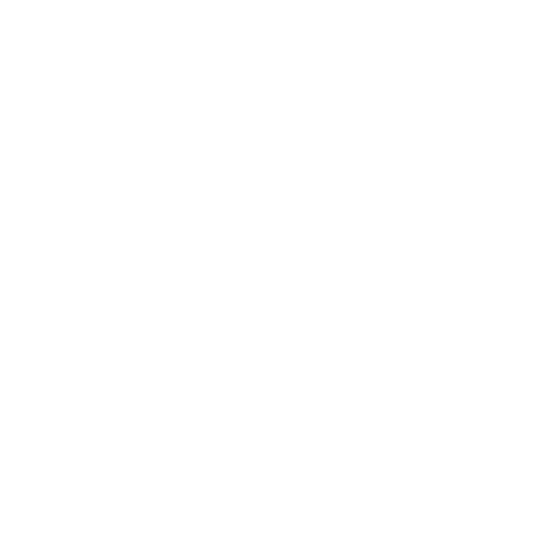 white icon of overhead security camera
