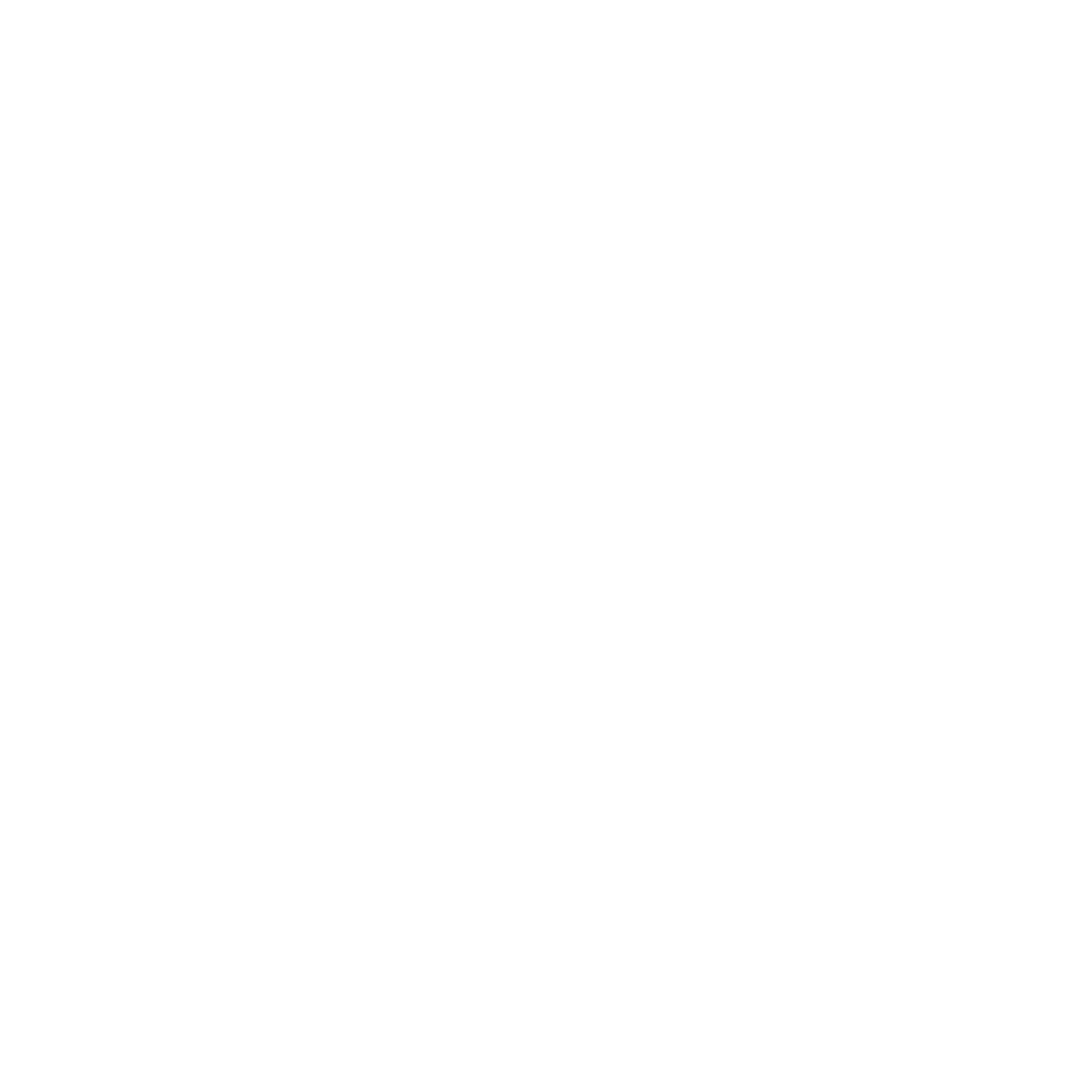 white icon of data cables