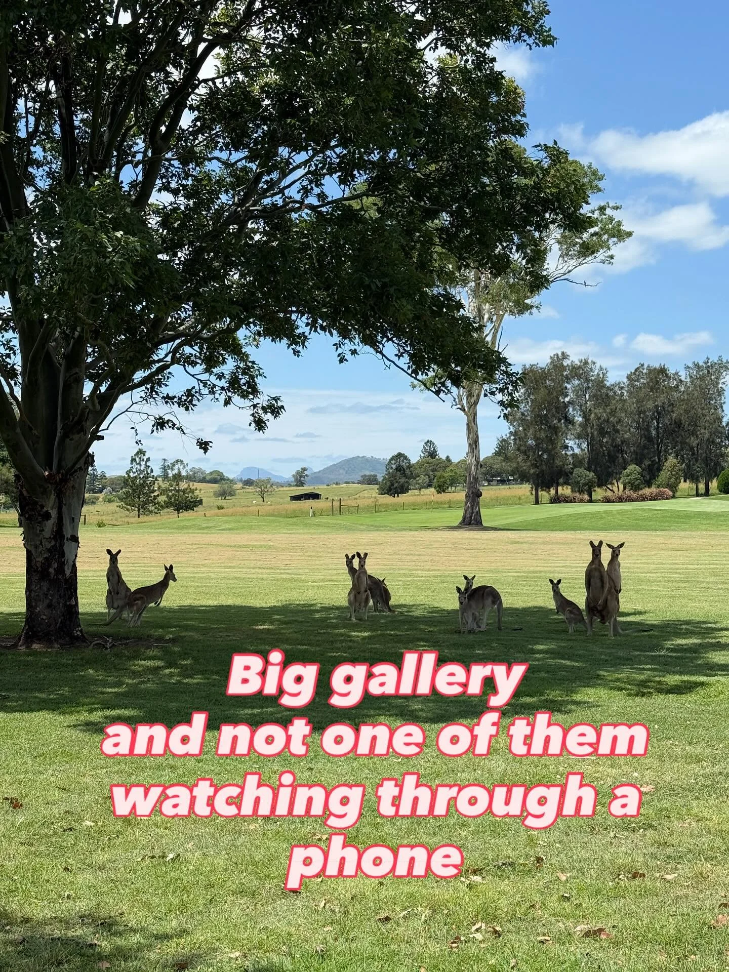 Biggest crowd I&rsquo;ve ever played in front of!