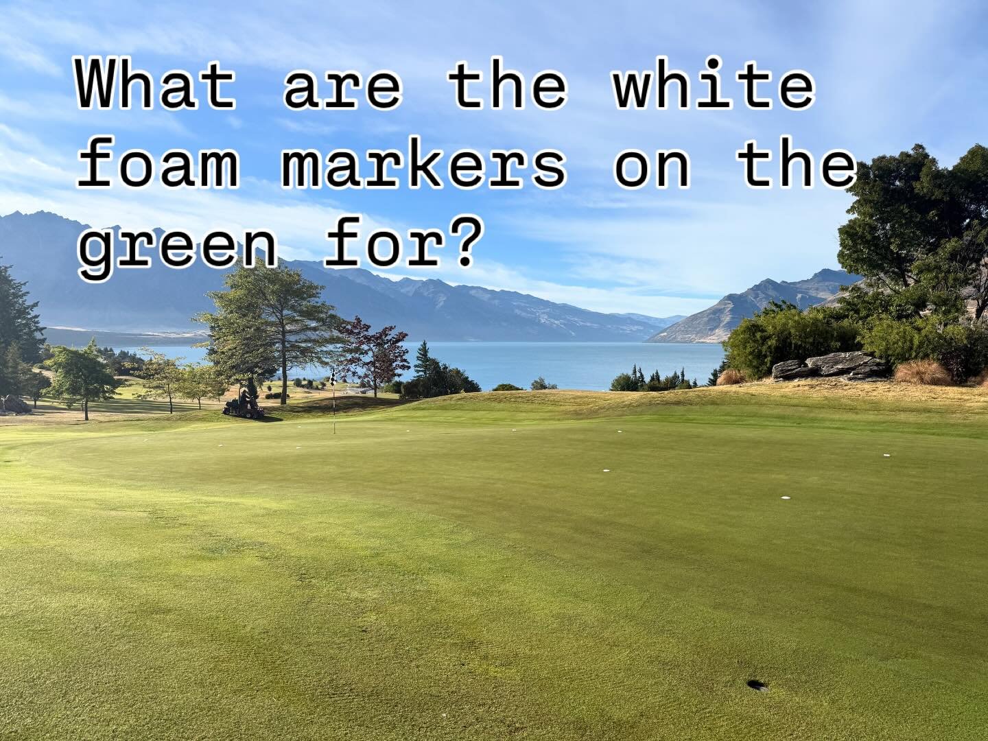 You learn something everyday @warreneagles