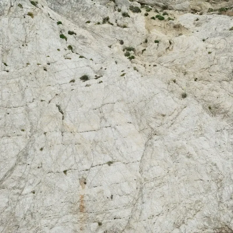 Close-up of a rocky white cliff face with small patches of greenery and tiny plants growing in cracks.