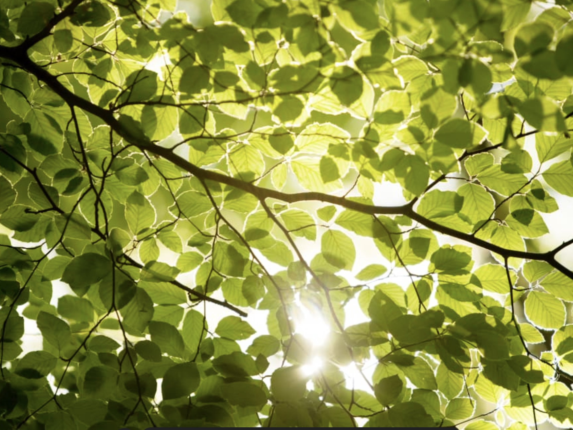 Explore Morning Energy