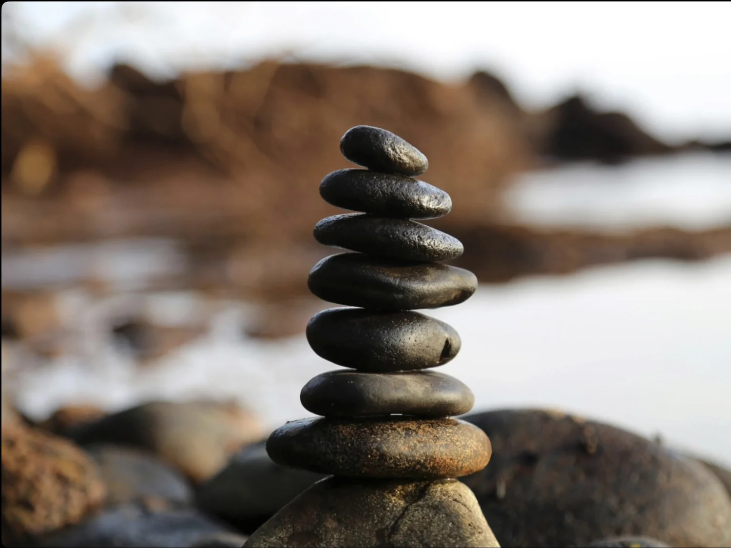 Reaching Sage Stage Fitness (Copy)