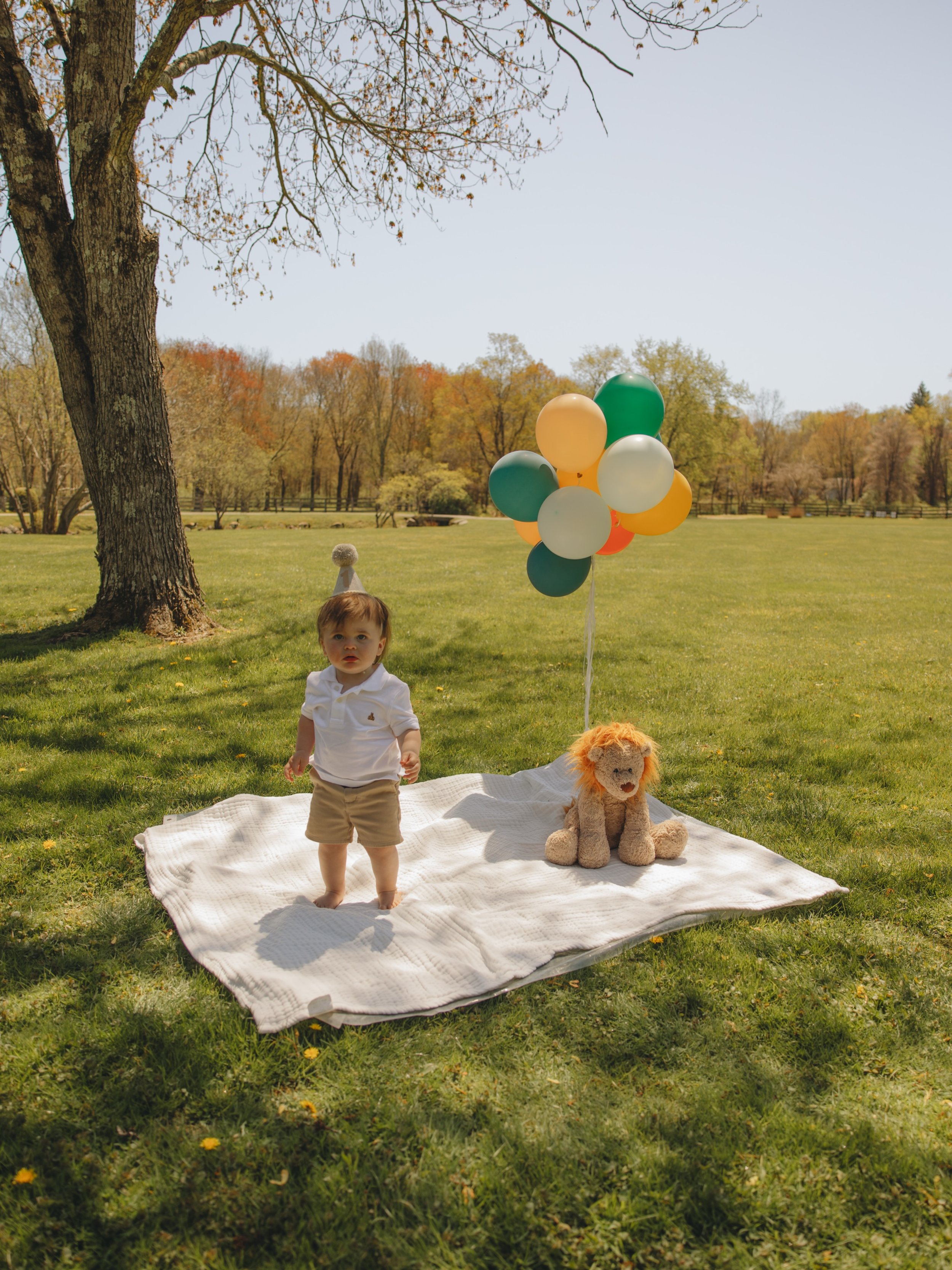 A whole year of wild, wonderful, and unforgettable adventures 🦁🎈
Happy first birthday to this little party animal!!!