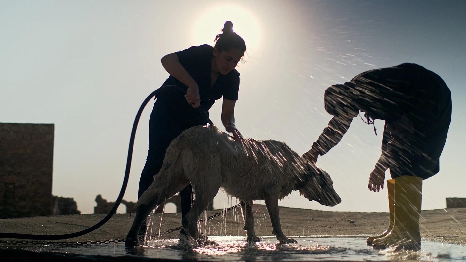 DIE WÄCHTERIN 11 ©inselfilm.jpg