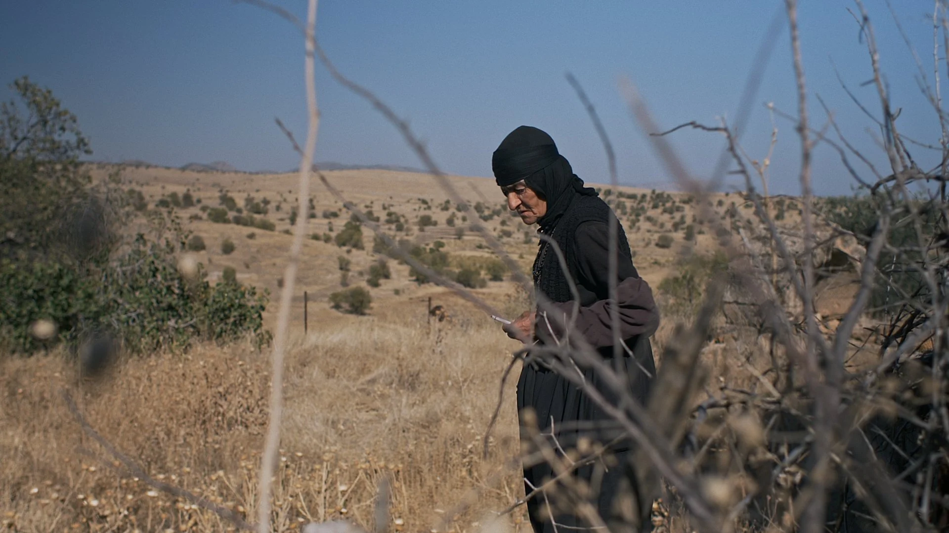 DIE WÄCHTERIN 08 ©inselfilm.jpg