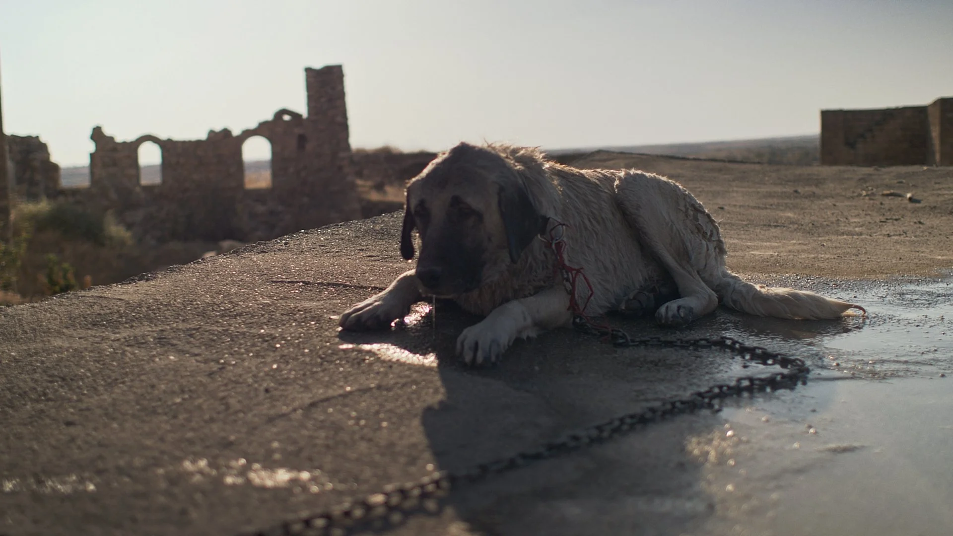 DIE WÄCHTERIN 10 ©inselfilm.jpg