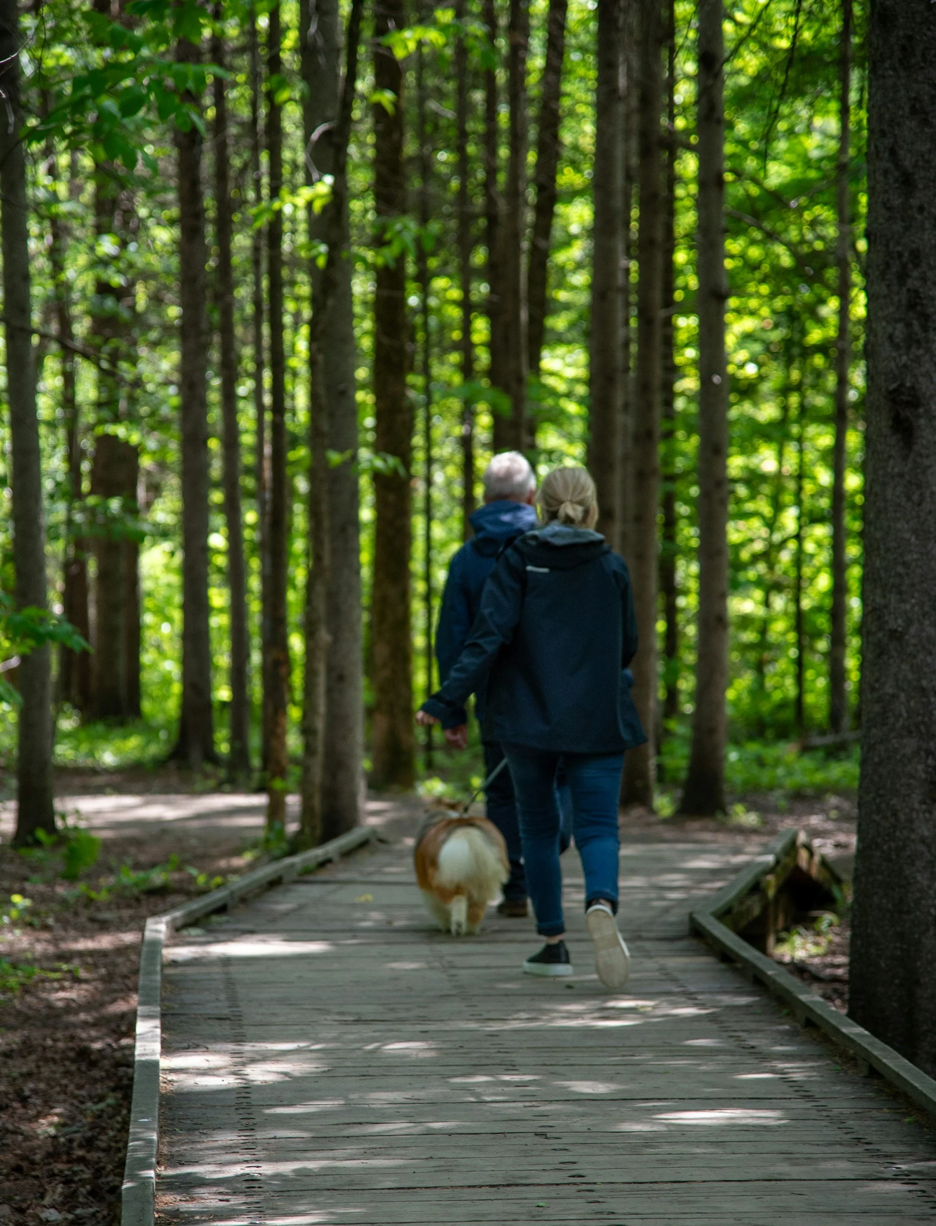 healthy aging physical therapy Crestview walking outside