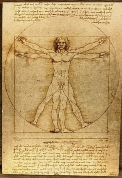 Drawing of Leonardo da Vinci's Vitruvian Man, a man in two superimposed positions with arms and legs apart inside a square and circle.