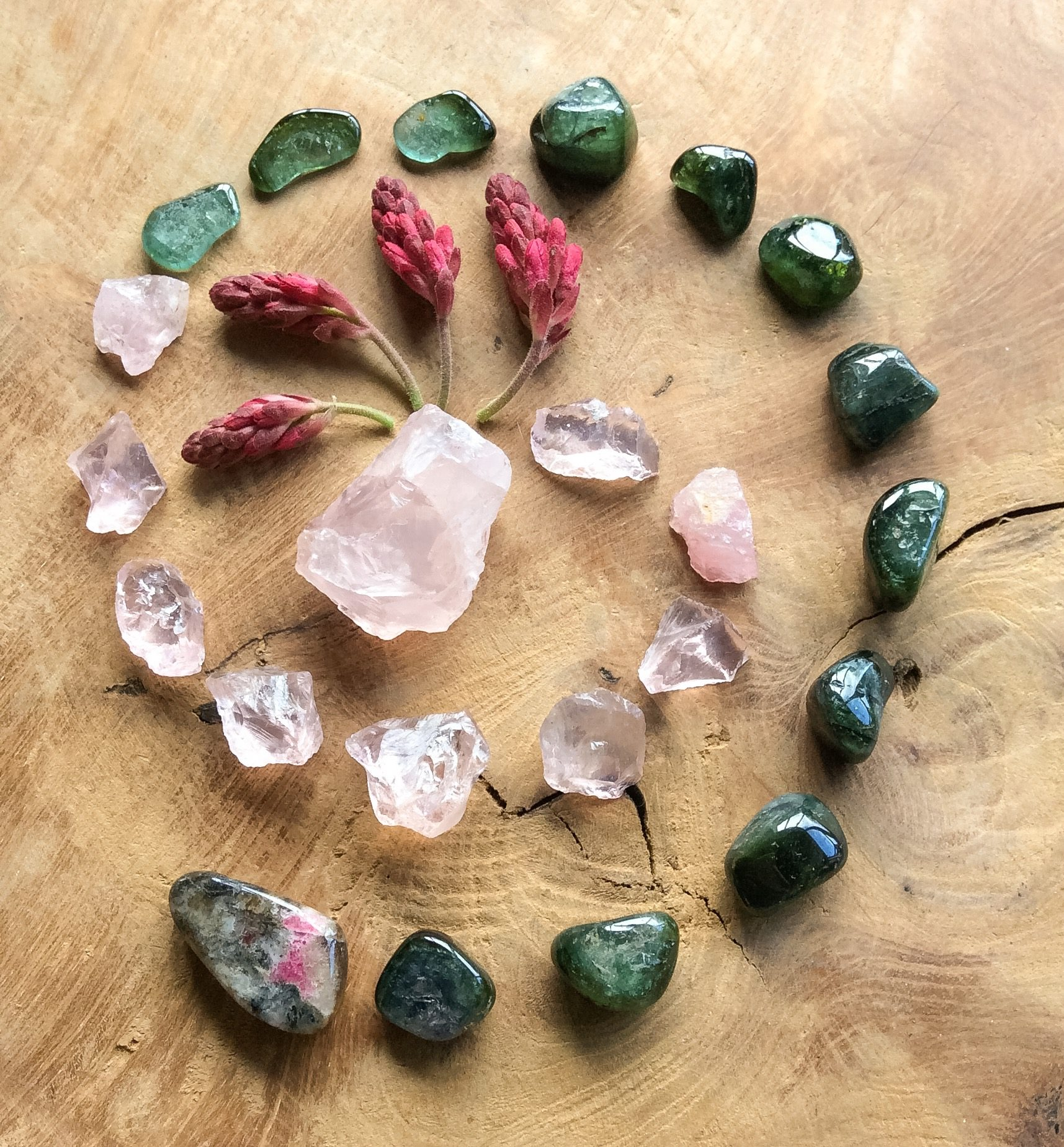 Various polished and raw stones arranged in a circle on a wooden surface, with pink flower buds in the center.