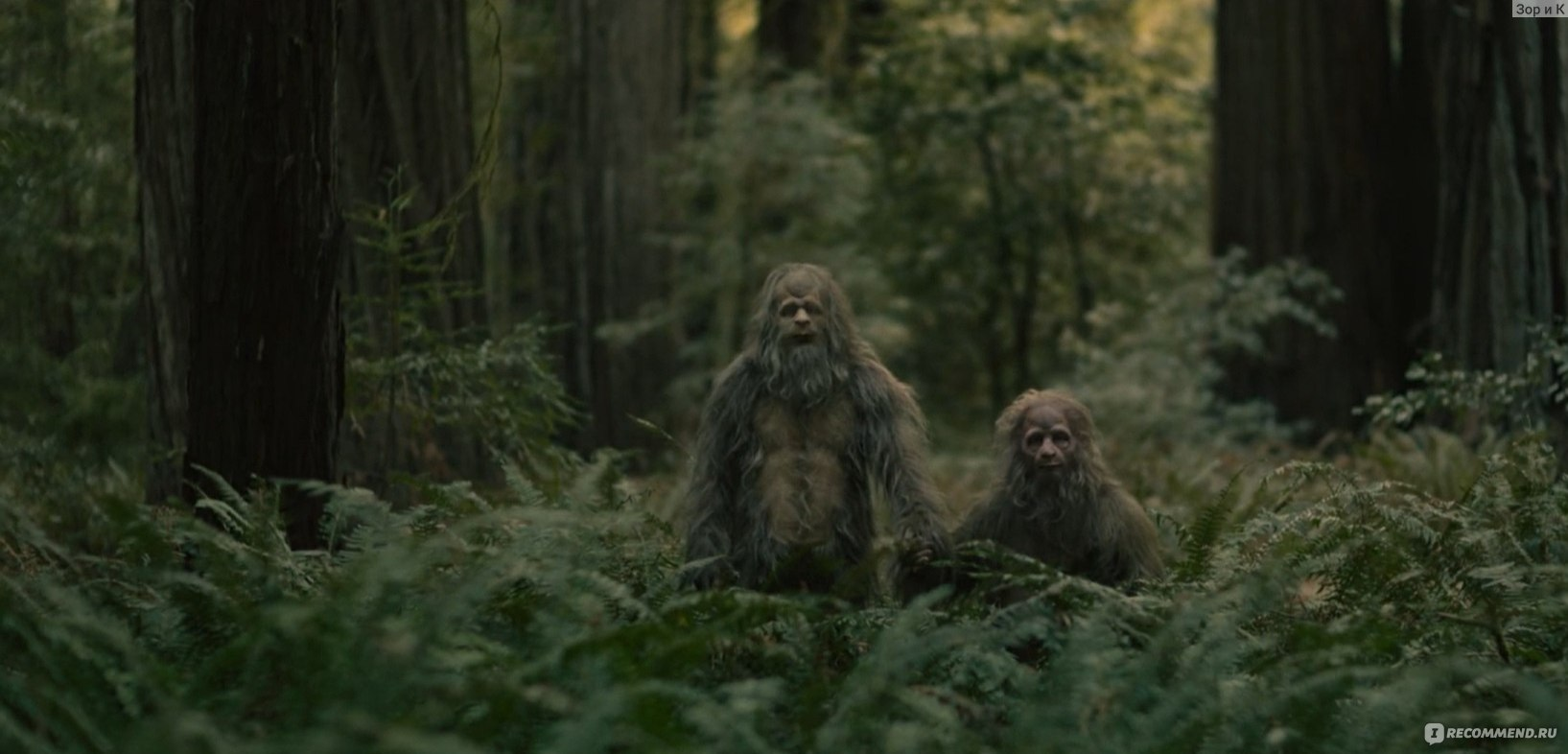 Two mythical creatures resembling Bigfoot in a dense forest with tall trees and green foliage.