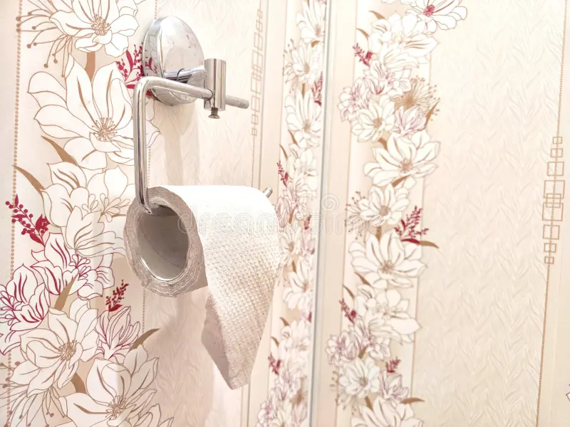 Bathroom with floral wallpaper, toilet paper roll on a wall-mounted holder, and a mirror.