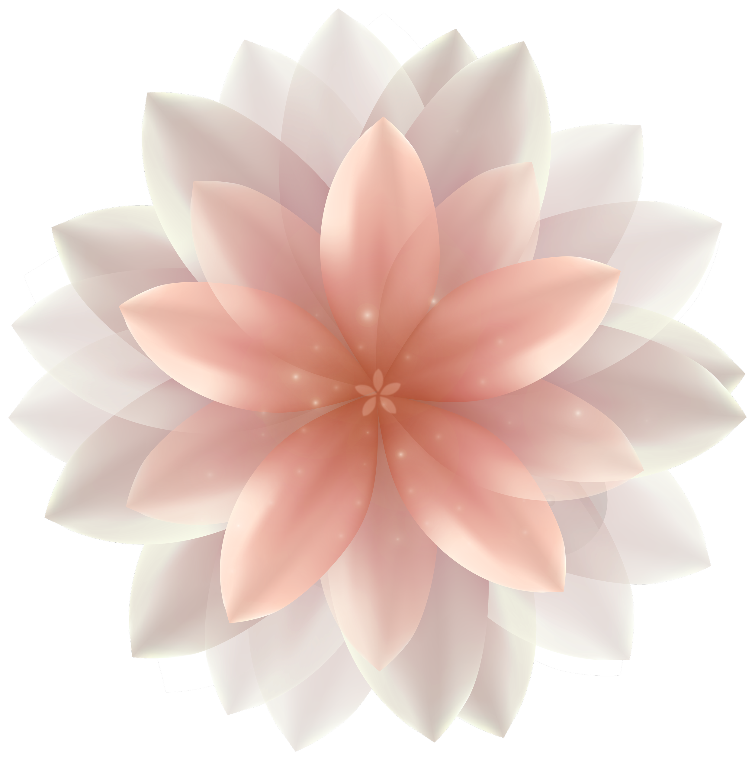 A stylized digital illustration of a blooming lotus flower with pink and white petals against a black background.