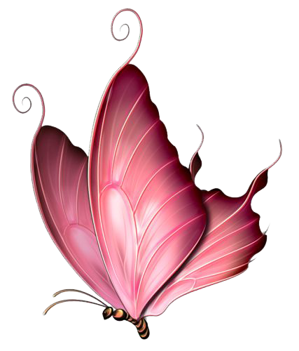 A pink and red butterfly with detailed wings and curled antennae.