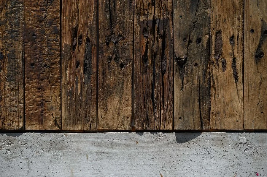 051 - 12-2024  -  SJ ph g viramonte-2984.jpg