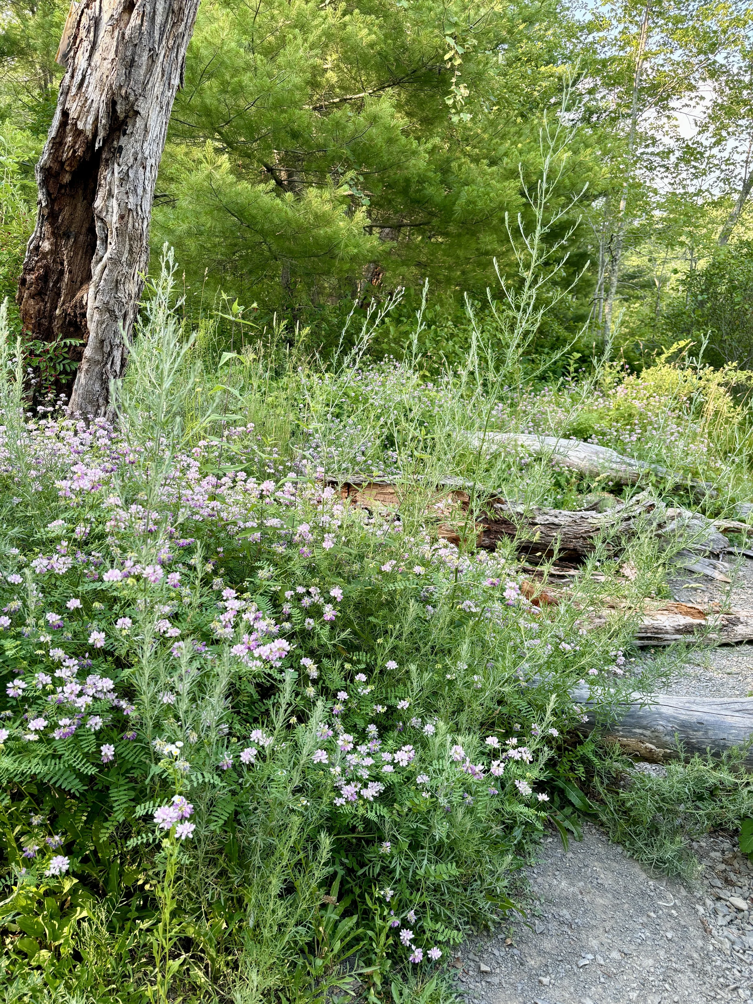 Copy of Neighborhood1.jpg