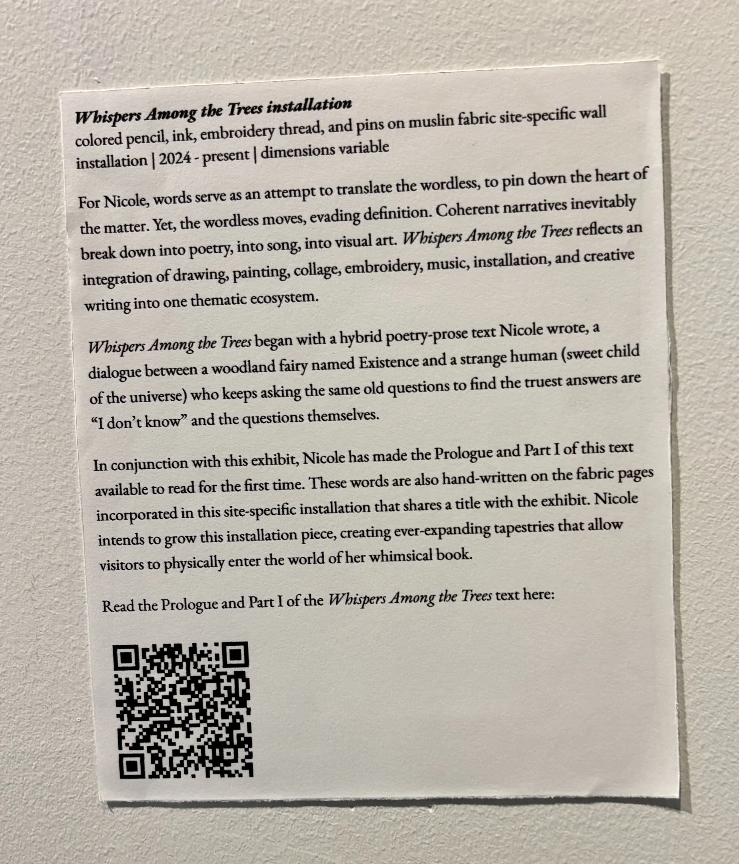 description-displayed-on-wall-in-gallery-exhibition-in-bushwick-new-york.jpeg