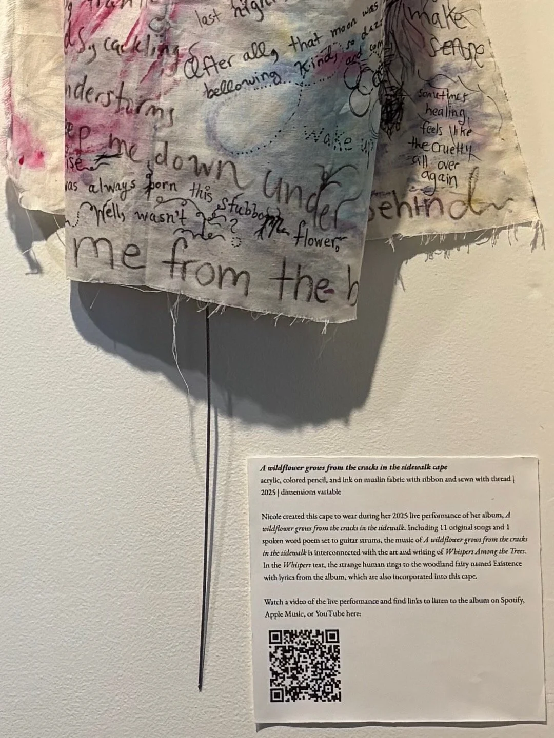 cape-by-nicole-javorsky-displayed-in-gallery.jpeg