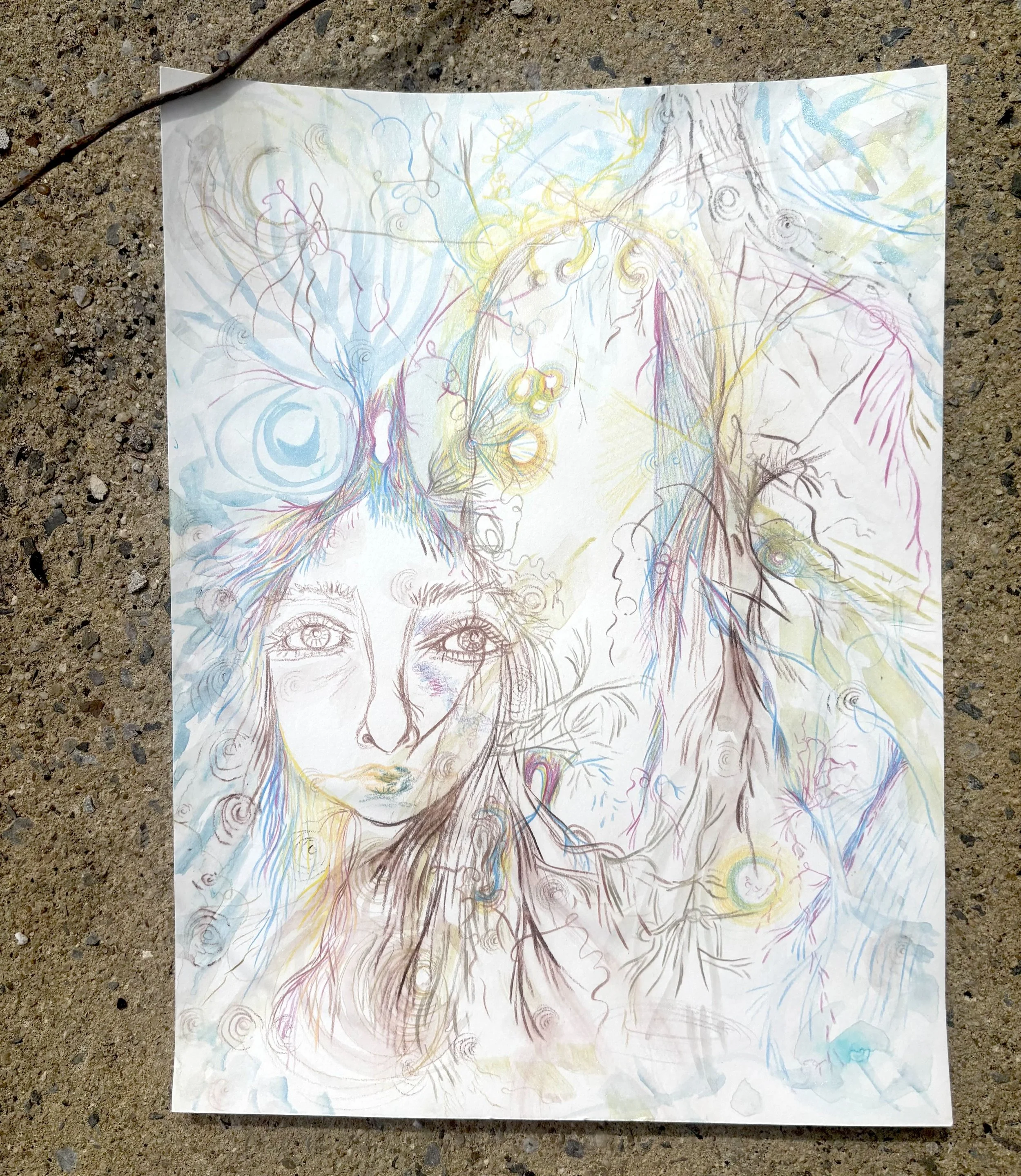 artwork by Nicole Javorsky