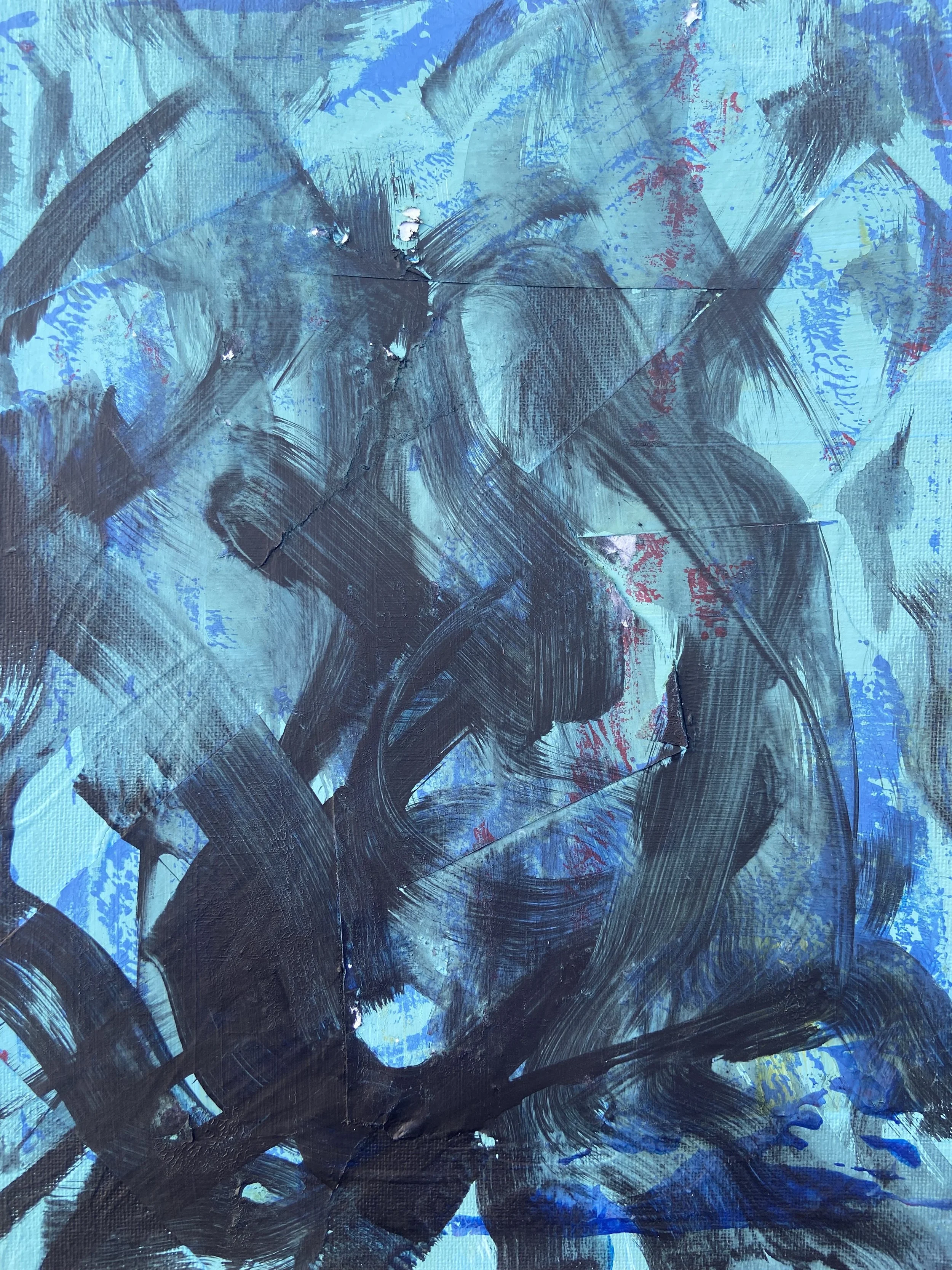 A Wildflower Grows From the Cracks In the Sidewalk