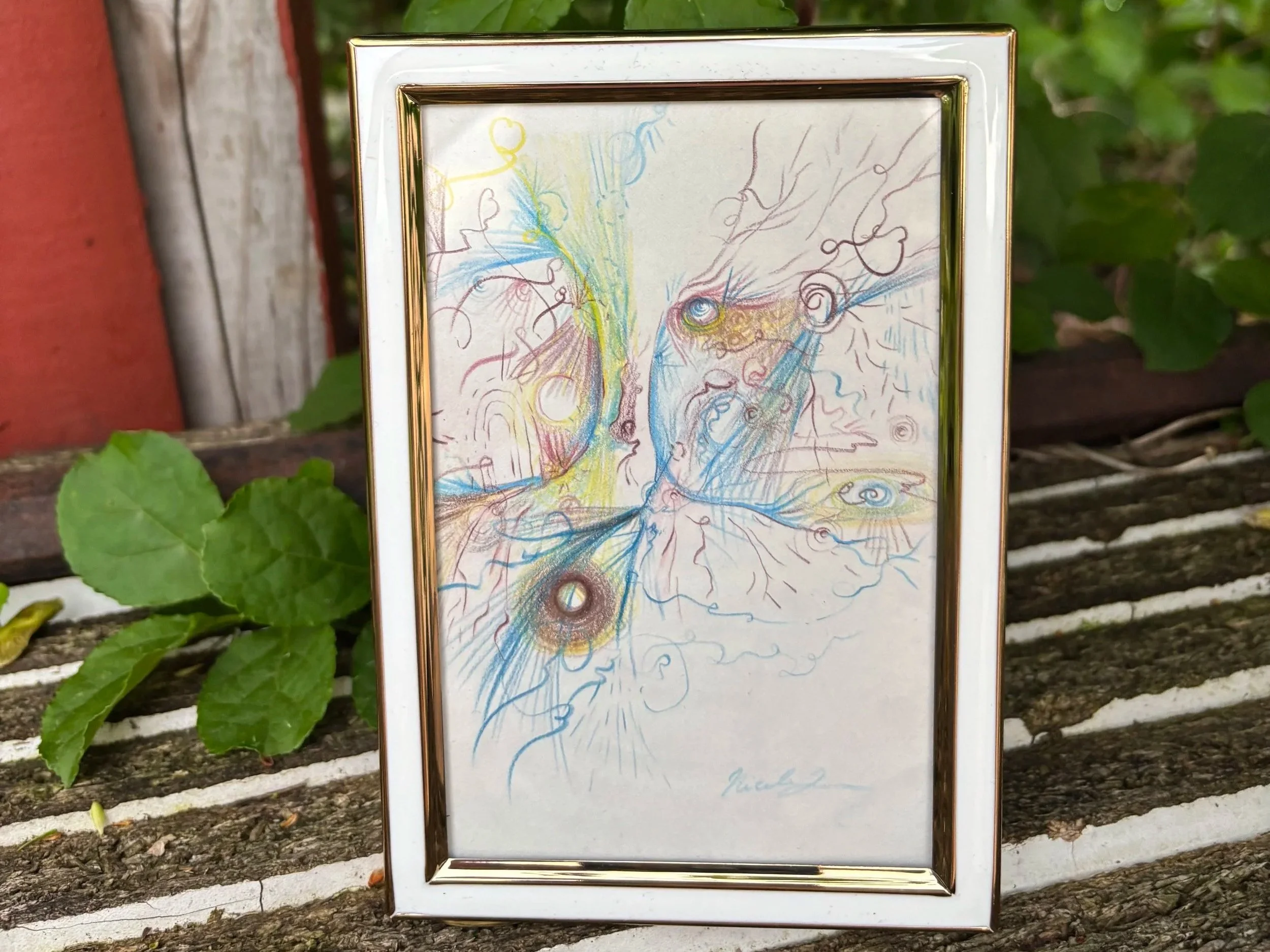 nature-inspired drawing by artist Nicole Javorsky displayed in 6x4 gold and white tabletop frame