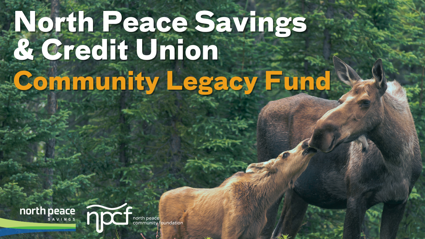 Now Open: 2025 Grant Cycle for the North Peace Savings & Credit Union Legacy Fund