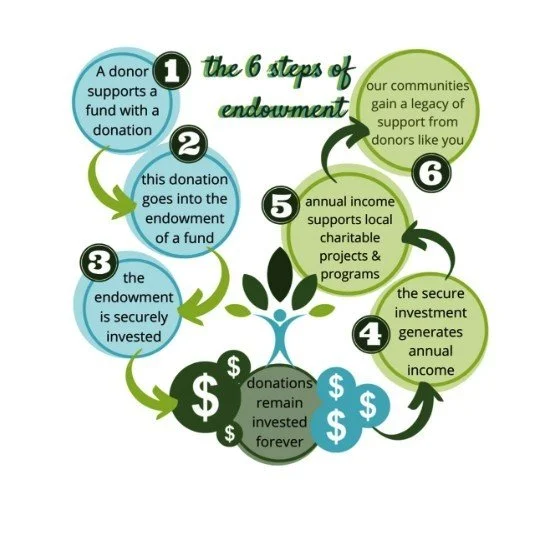 Illustration of the six steps of endowment fundraising process, including donor support, donation allocation, secure investment, annual income, community support, and ongoing investment for charitable projects.