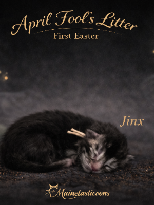 Jinx (Female)