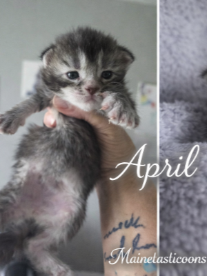 April (Female)