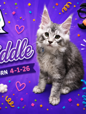 Riddle (Male)