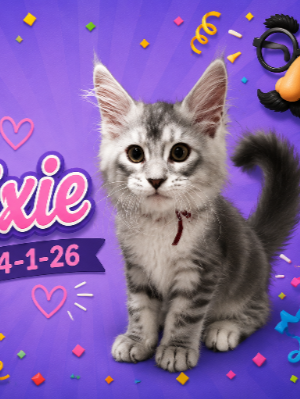 Trixie (Female)
