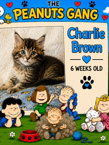 Charlie Brown (Male)