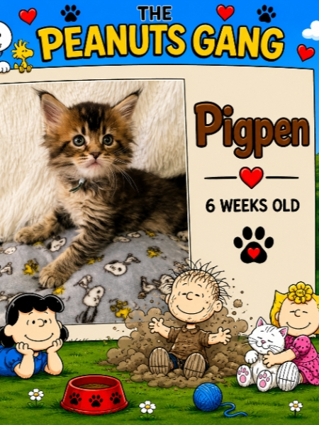 Pigpen (Male)