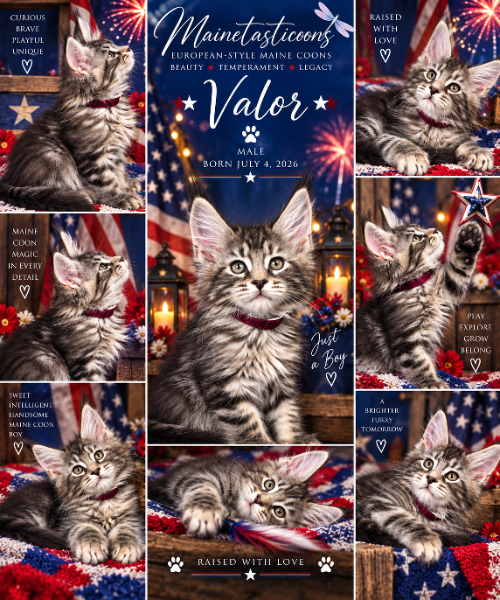 Valor (Male)