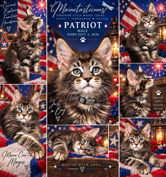 Patriot (Male)