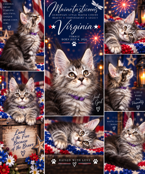 Virginia (Female)