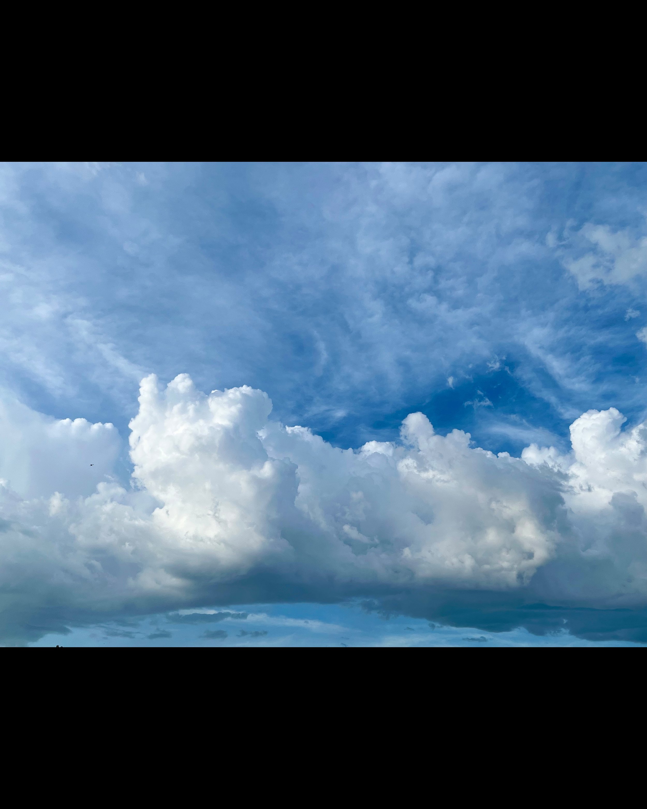 ISIMG-843859.jpg