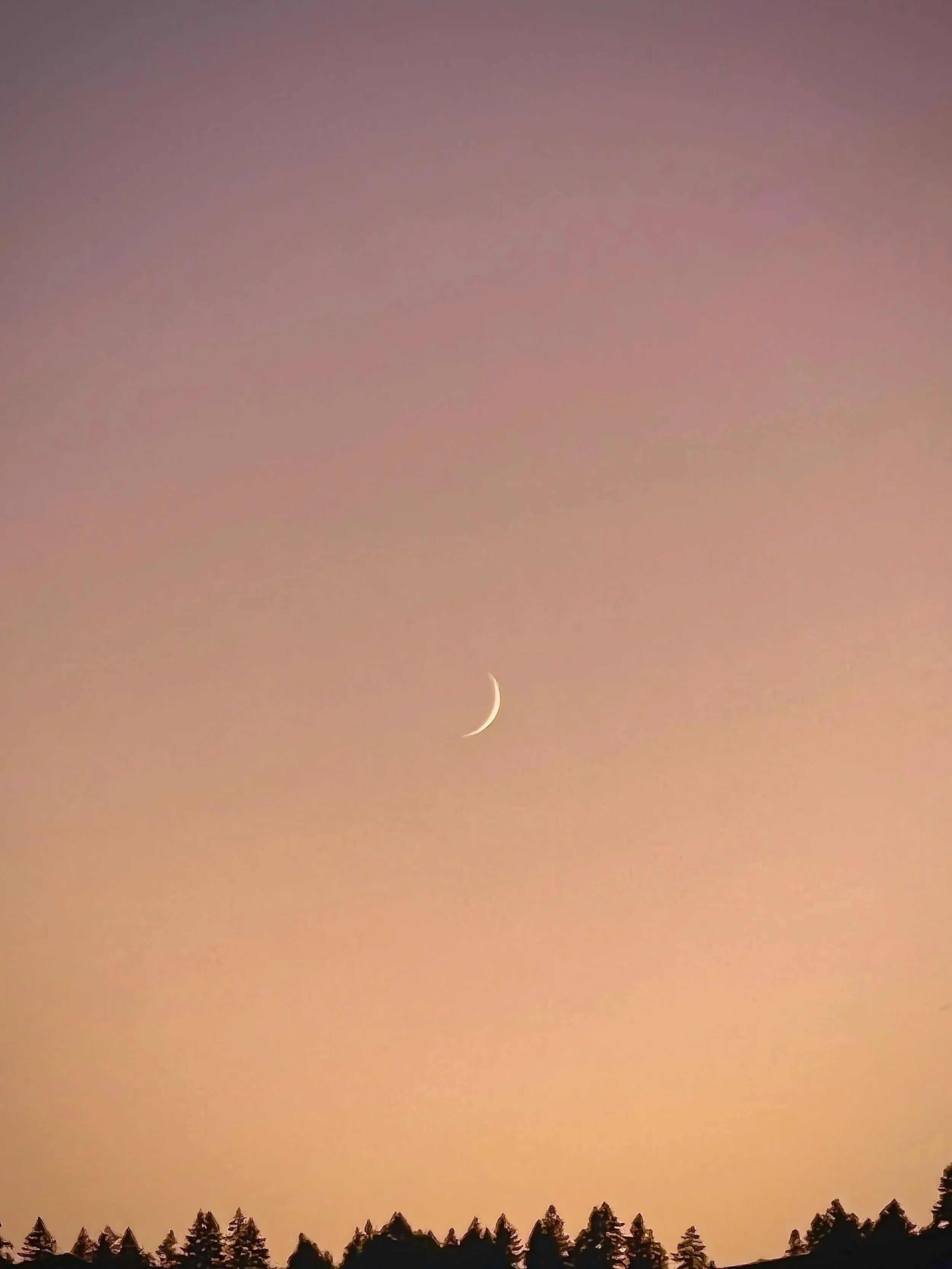 Peach Moon SliverIMG_6926-gigapixel-low resolution v2-2x-2.jpg