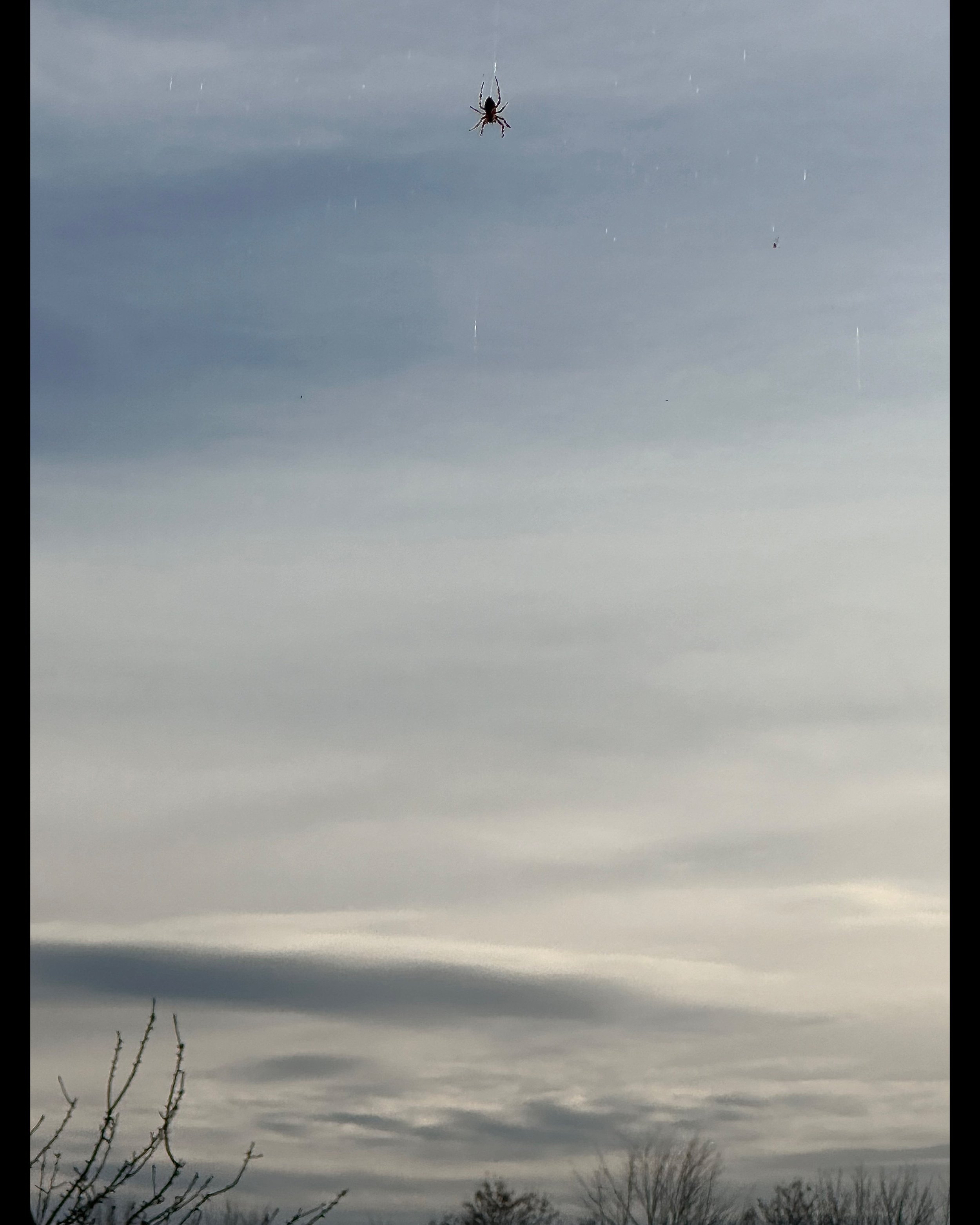 ISIMG-1010968.jpg