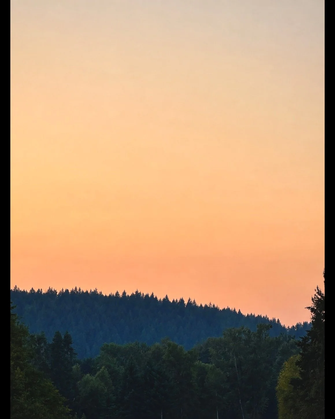 ISIMG-789592.jpg