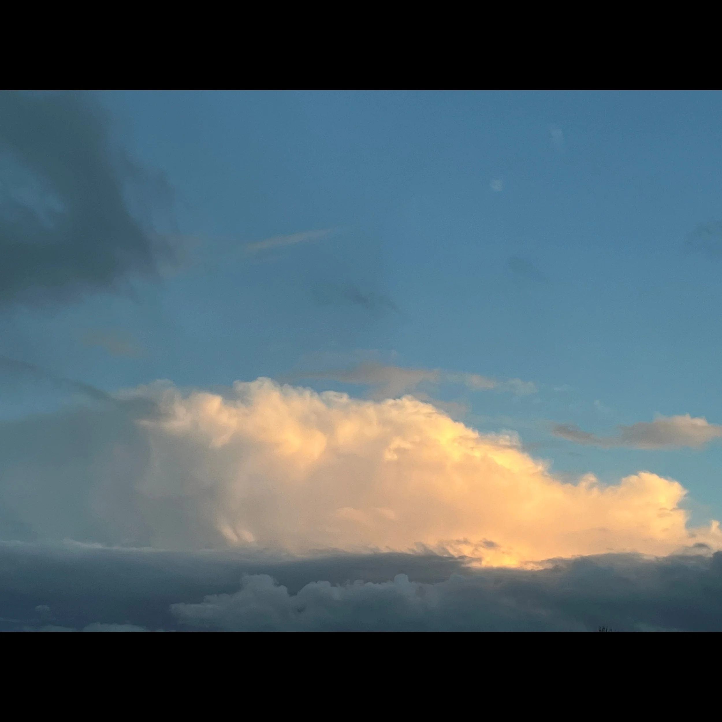 ISIMG-788728.jpg