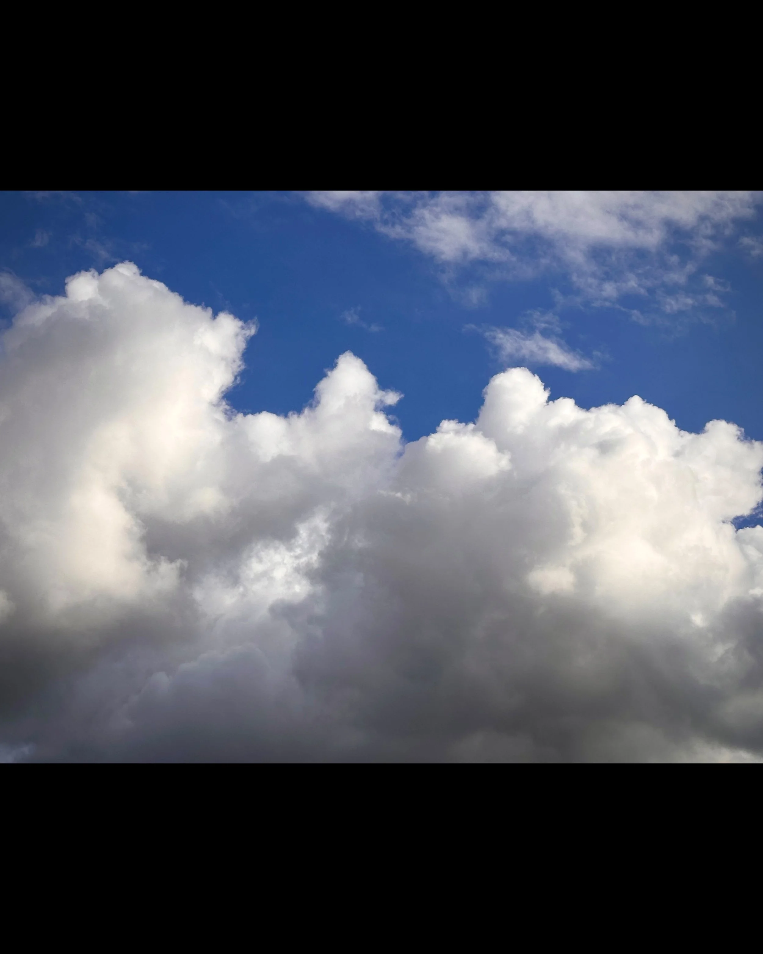 ISIMG-1007047.jpg